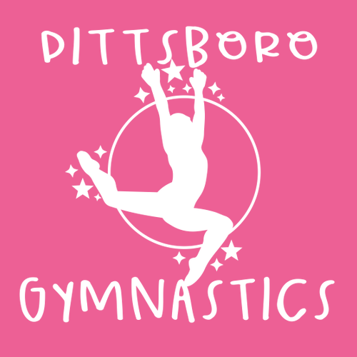 District Girls V.I.T. Tank -- Fuchsia Frost