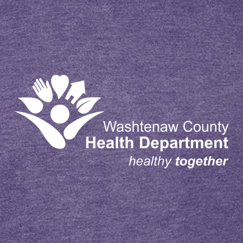 Pullover Hooded Sweatshirt -- Heather Purple