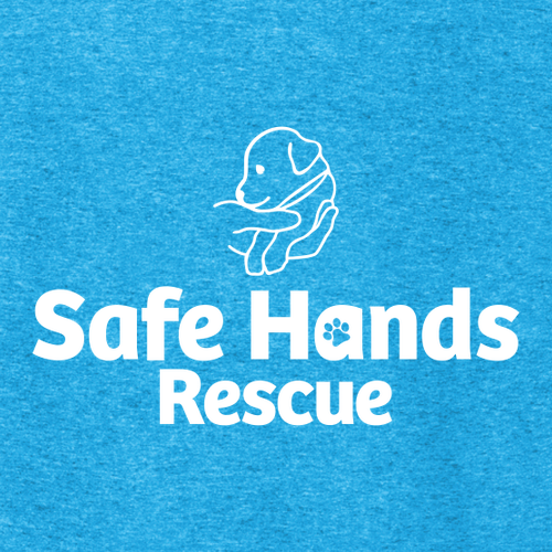 District Made Ladies Perfect Tri V-Neck Tee -- Turquoise Frost