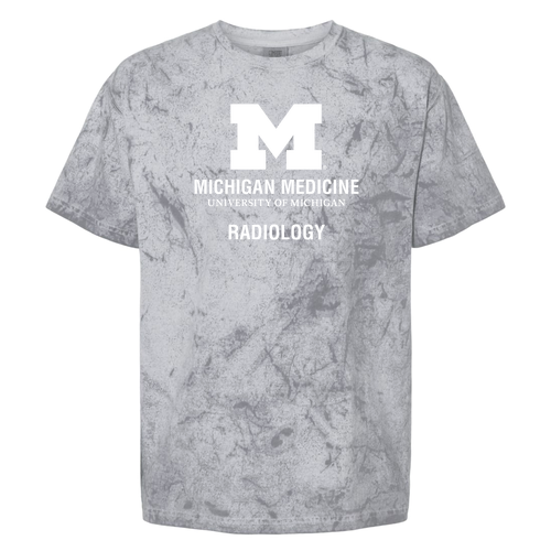 Mens/Unisex Comfort Colors Adult Heavyweight Color Blast T-Shirt -- Smoke
