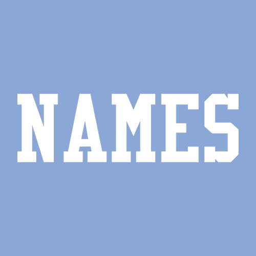 Gildan Heavy Cotton Basic T-Shirt -- Carolina Blue