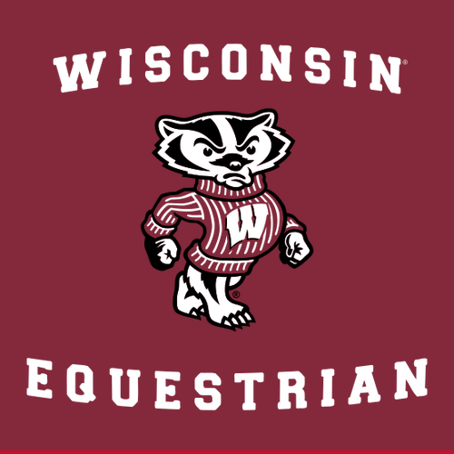 Gildan Heavy Blend Crew Neck Sweatshirt -- Cardinal Red