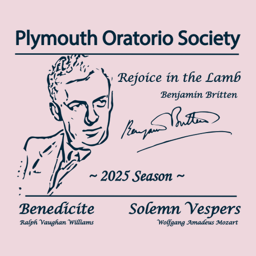 Jerzees 8 oz 50/50 Nublend Adult Hooded Sweatshirt -- Classic Pink