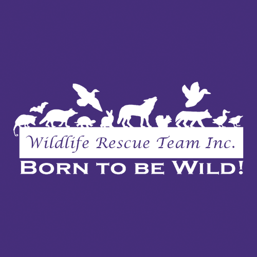 Gildan Heavy Blend Crew Neck Sweatshirt -- Purple