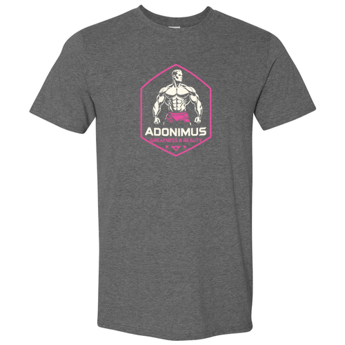 Gildan SoftStyle T-Shirt -- Heather Charcoal