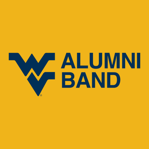 Gildan Heavy Cotton Longsleeve Basic T-Shirt -- Gold