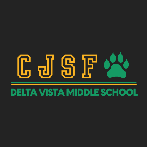 Delta Vista Black Hoodie Sweatshirt