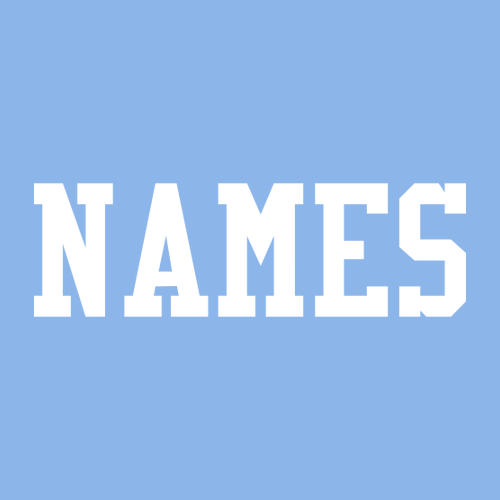 Gildan Heavy Cotton Basic T-Shirt -- Carolina Blue