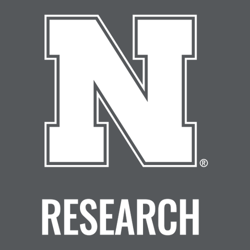 Ladies Port Authority Diamond Jacquard Polo -- Graphite