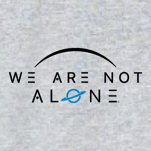 Gildan Heavy Cotton Basic Youth T-Shirt -- Sport Grey