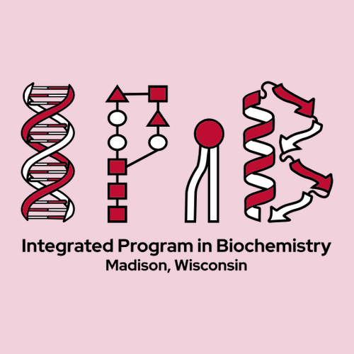 Gildan Heavy Blend Hooded Sweatshirt -- Light Pink