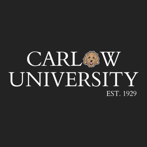 Carlow Doggo Cotton T-Shirt -- Jet Black