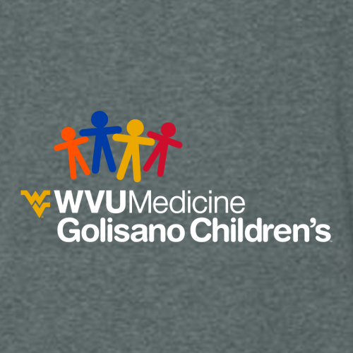 Gildan Ultra Cotton Longsleeve Basic T-Shirt -- Dark Heather