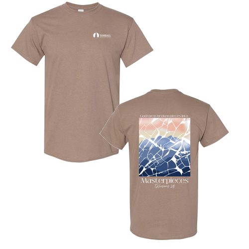 Gildan Heavy Cotton Basic T-Shirt -- Brown Savana