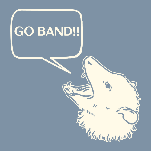 Gildan SoftStyle T-Shirt -- Stone Blue