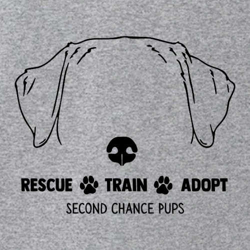 American Apparel Heavyweight Cotton Unisex Long Sleeve T-Shirt -- Heather Grey