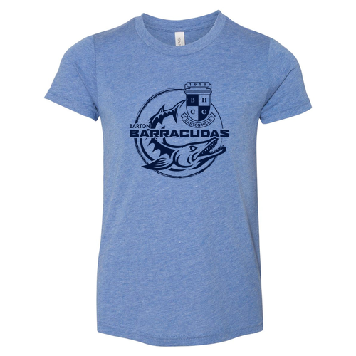 Youth Bella Canvas Soft Fitted Triblend Jersey Short Sleeve Tee -- Blue Triblend