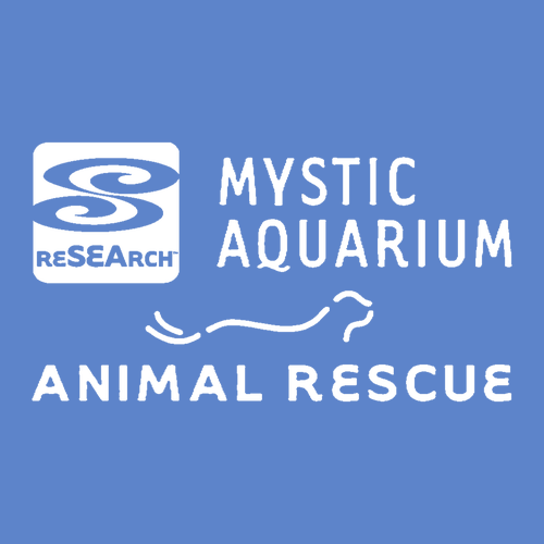 Mystic Aquarium Animal Rescue Program T-Shirt (Iris)
