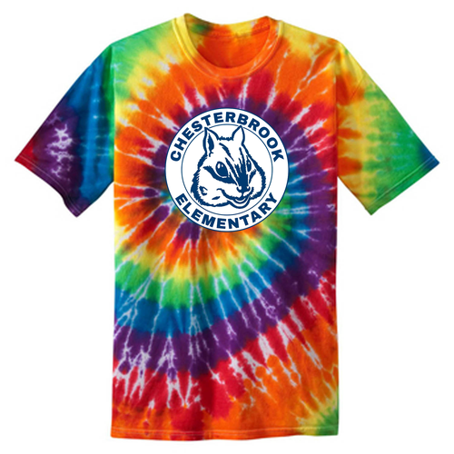 Port and Company Tie Dye Tee Youth -- Rainbow