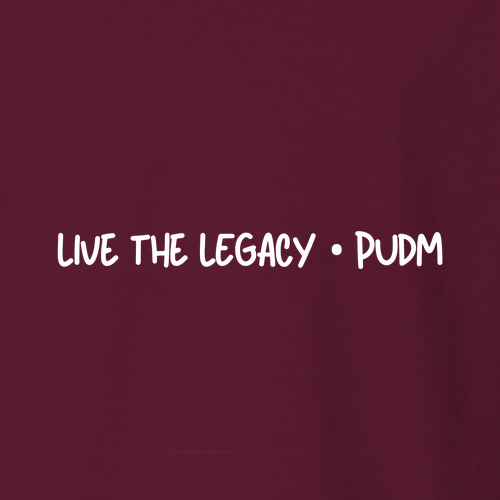 Gildan Heavy Blend Crew Neck Sweatshirt -- Maroon