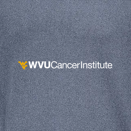 Charles River Mens Heathered Fleece Pullover -- Navy Heather