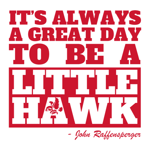 Gildan Adult Softstyle Fleece Crew Sweatshirt -- White