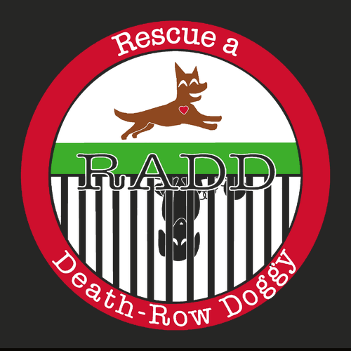 Gildan Heavy Cotton Longsleeve Basic T-Shirt -- Black