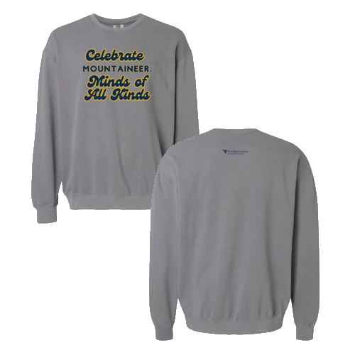 Comfort Colors Unisex Garment-Dyed Lightweight Fleece Crewneck Sweatshirt -- Grey