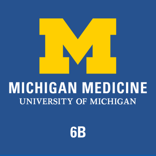 Gildan Heavy Cotton Basic T-Shirt -- Royal