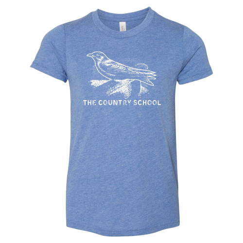 Bella Canvas Youth Triblend Jersey Short Sleeve Tee -- Blue Triblend