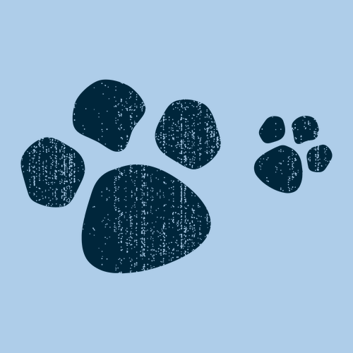 Gildan Heavy Cotton Basic T-Shirt -- Light Blue