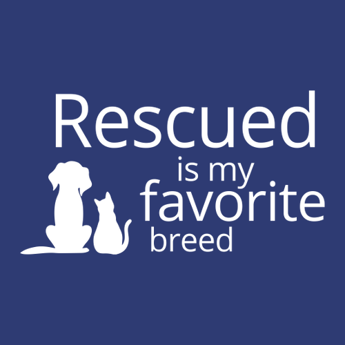 District Women's Very Important Tee  V-Neck -- Deep Royal (Rescued Logo)