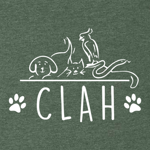 Bella+Canvas Unisex Heather Cvc Long Sleeve Tee- Heathers -- Heather Forest