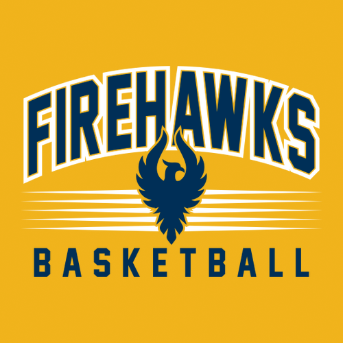 Fire Hawks Basketball (Youth Hoodie) -- Gold