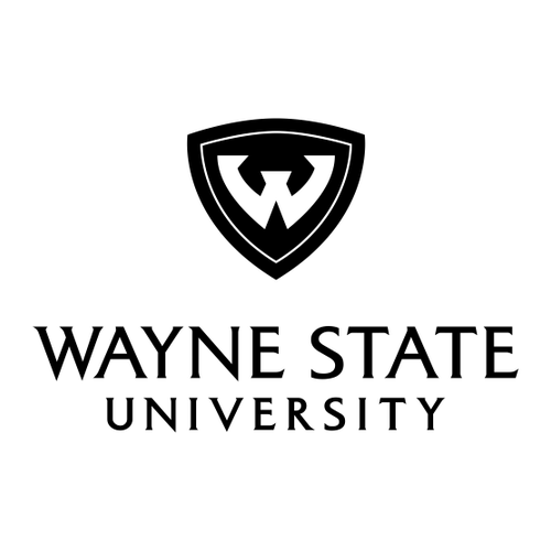 Gildan Heavy Cotton Longsleeve Basic T-Shirt -- White