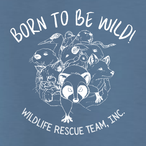 Gildan Heavy Cotton Longsleeve Basic T-Shirt -- Indigo Blue