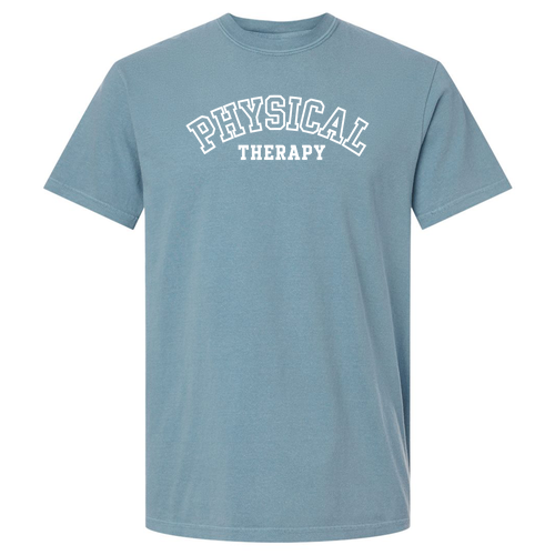 Comfort Colors Unisex Garment-Dyed Heavyweight T-Shirt -- Ice Blue