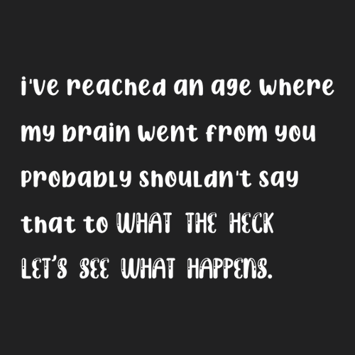 [HIDE] Let's See What Happens Womens Fashion Fit T-Shirt -- Black