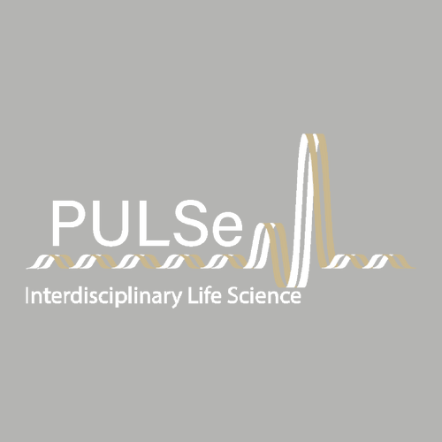 Charles River Crosswind Quarter Zip Sweatshirt -- Oxford Heather