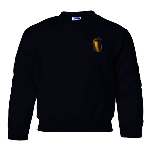 Youth Apricot Crewneck Sweatshirt -- Black