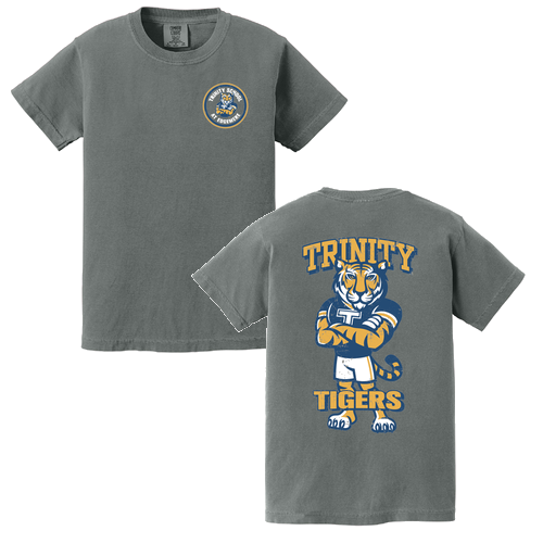 Youth Comfort Colors Ring Spun Cotton Tee -- Grey