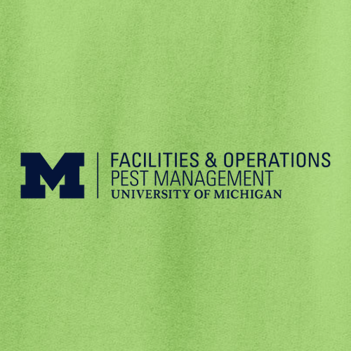 Port and Company Tall Long Sleeve Essential T-Shirt -- Lime, $15