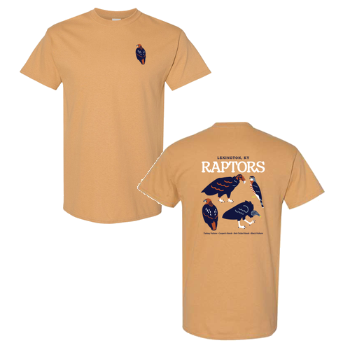 Heavy Cotton  T-Shirt -- Old Gold