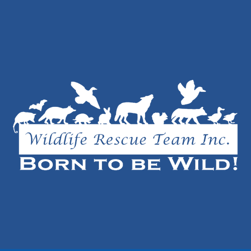 Jerzees 8 Oz. 50/50 Nublend Fleece Crew -- Royal