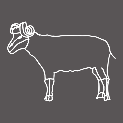 Gildan Cotton T-Shirt -- Charcoal