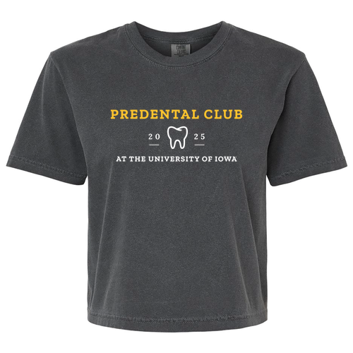 Comfort Color Lady's Heavyweight Boxy Tee -- Pepper