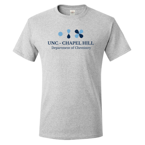 Hanes Authentic Short Sleeve T-Shirt -- Ash -- Orbit