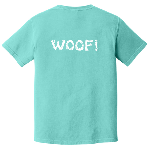 Comfort Colors Unisex Garment-Dyed Heavyweight T-Shirt -- Chalky Mint