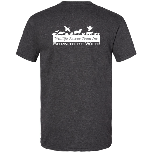 Gildan Softstyle CVC Tee -- Pitch Black Mist