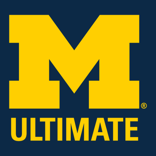 Mens/Unisex Ultimate Champion 9 oz., 50/50 Pullover Hoodie -- Navy